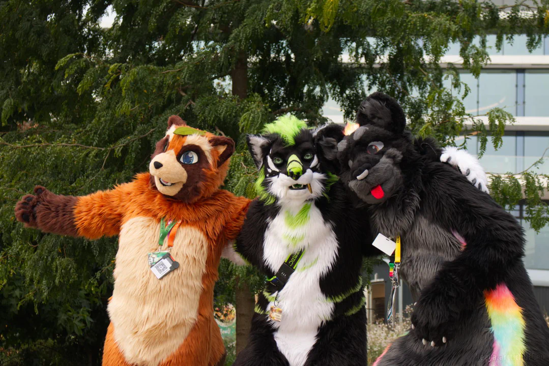 Photo of three fursuiters: an orange tanuki, black-white-green werewolf, and a black jaguar