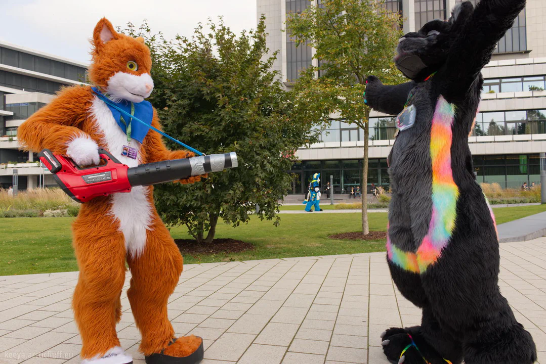 Photo of an orange and white cat fursuiter pointing a giant airblower at a black jaguar fursuiter, who has his arms spread wide and is enjoying the cool air, badges flying everywhere