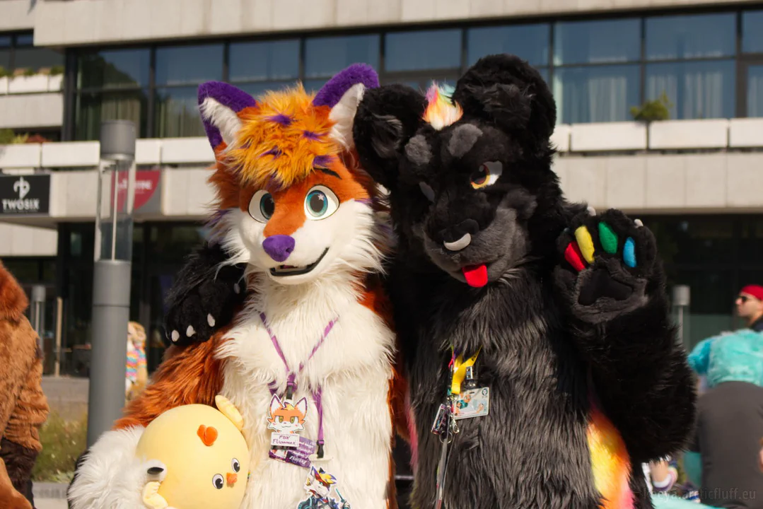 Photo of me in black jaguar fursuit, standing next to a red fox fursuiter with purple ears