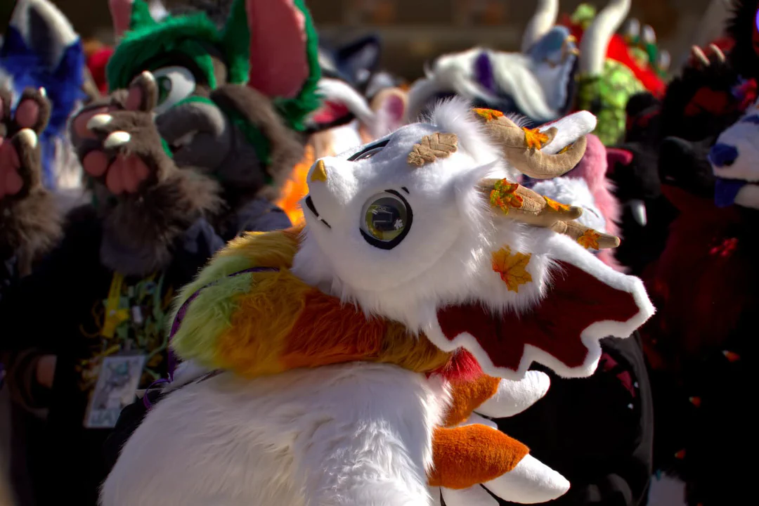 Photo of lots of fursuiters during the group photo, looking up at a camera far above