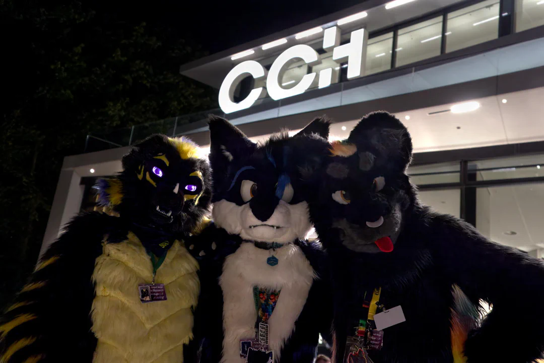 Photo of a dragon, arctic fox, and black jaguar fursuiter, standing in front of the CCH logo late at night