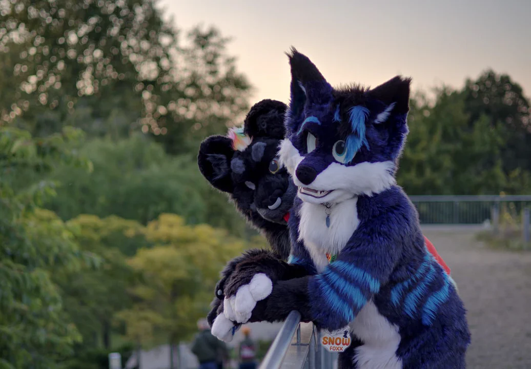 Photo of a blue arctic fox fursuiter at sunset, leaning casually on a railing, with a park in the background