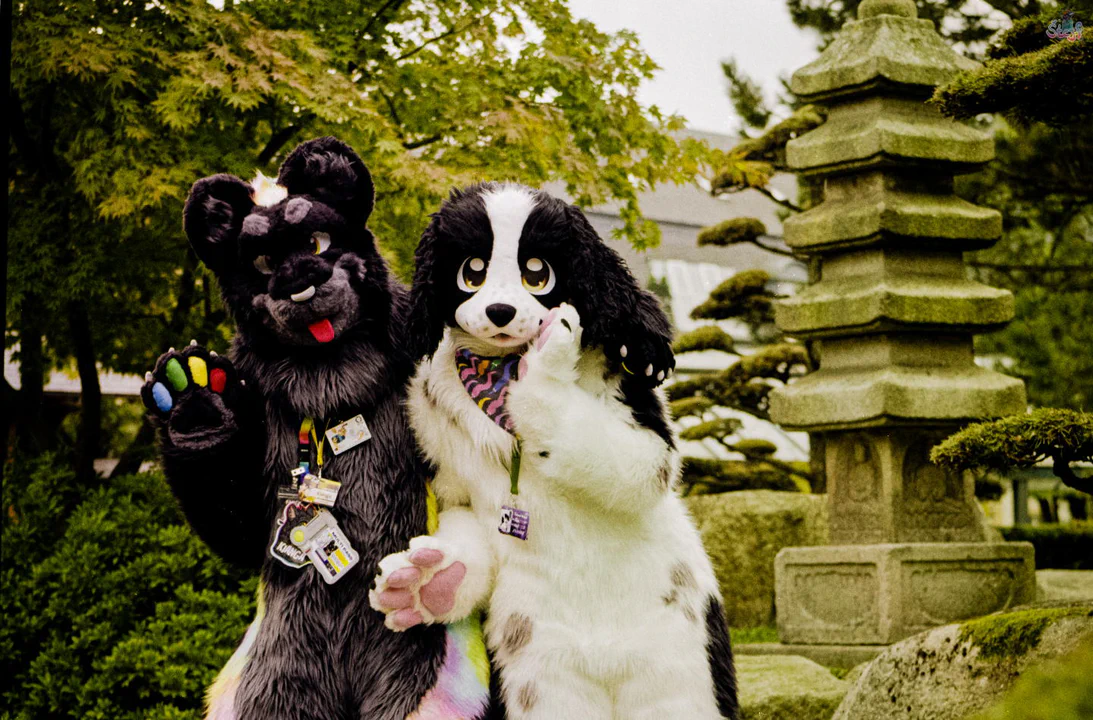 Photo of me in black jaguar fursuit and another fursuiter in a white doggo fursuit in a Japanese garden, looking cute together with our paws raised