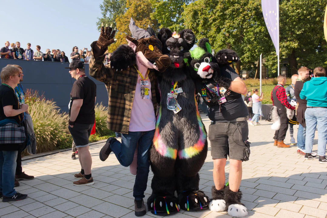 Photo of a dragon, black jaguar, and cat fursuiter